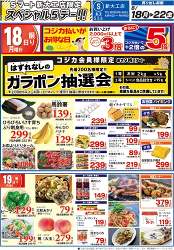 新大工店:単独チラシ