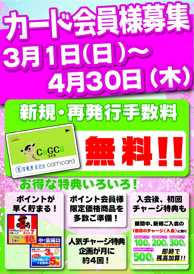 春のコジカカード入会無料キャンペーン